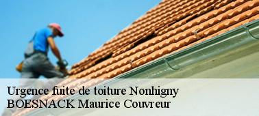 Faites appel à un couvreur urgence fuite toiture parfaite à Nonhigny 